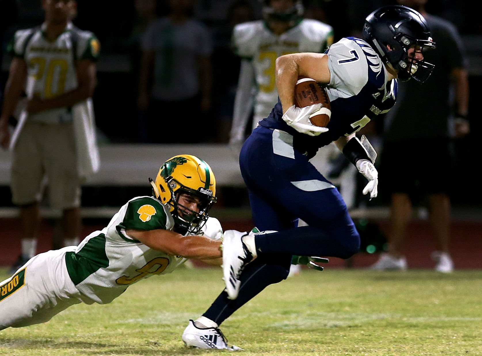 Canyon del Oro 21, Ironwood Ridge 24